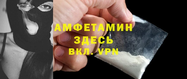 мдпв Дмитриев