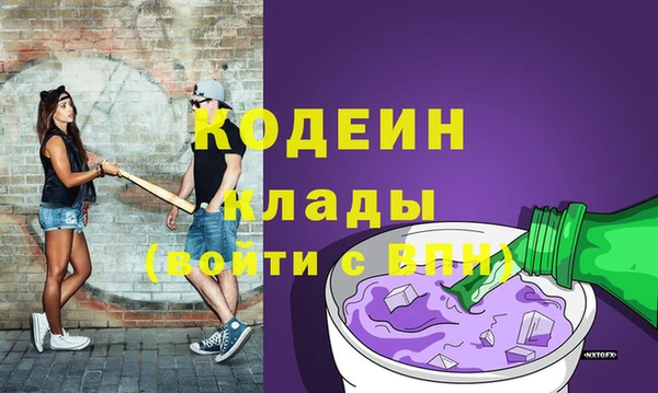 мдпв Дмитриев