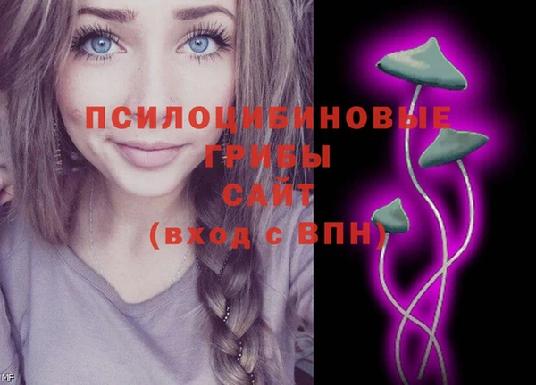 соль ск Дмитровск