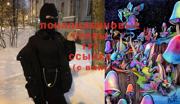 мдпв Дмитриев