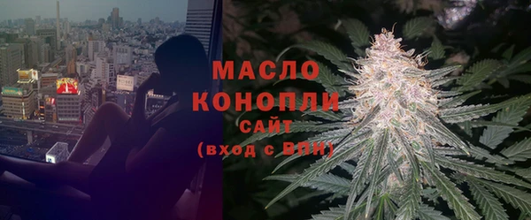 мдпв Дмитриев