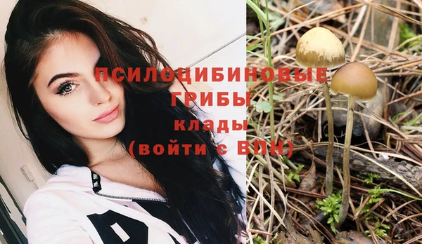 мдпв Дмитриев