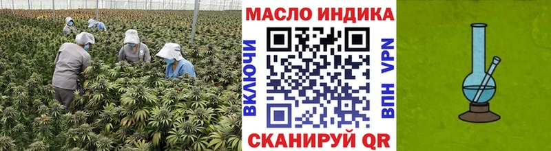 Купить закладки  Циолковский  ТГК гашишное масло 